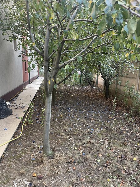 Prelungirea Ghencea, Margelelor, apartament si curte proprie.